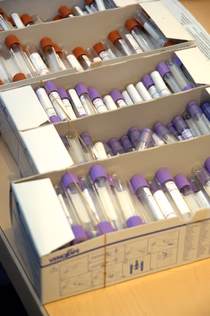 Nuotrauka 1: Health Related Matters