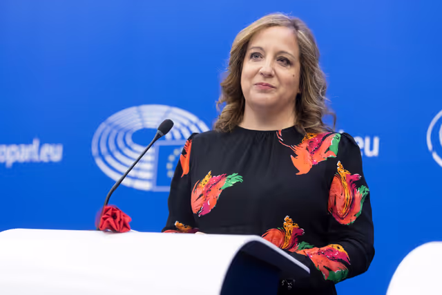 Fotografija 9: Bress briefing S&D Grooup