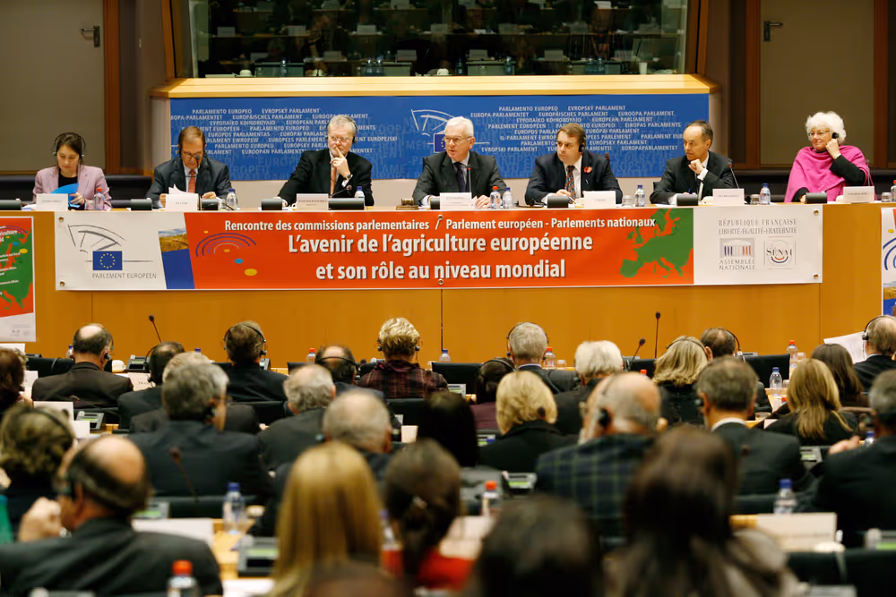 Towards the Lisbon Treaty