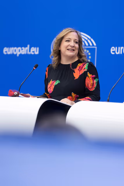 Fotografija 5: Bress briefing S&D Grooup