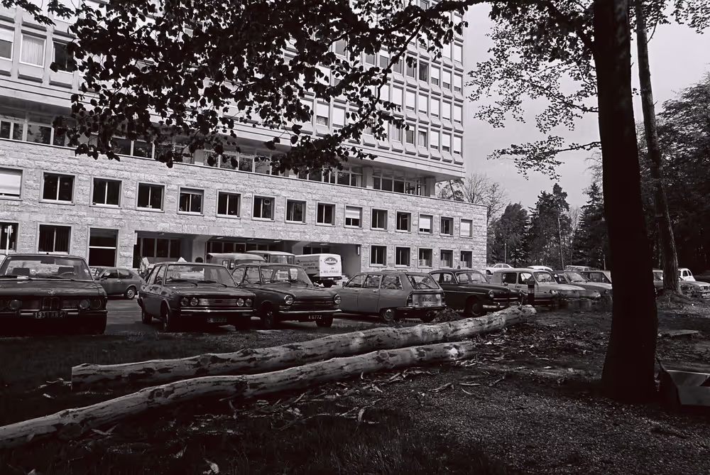 Trees felled behind Schuman building in Luxembourg