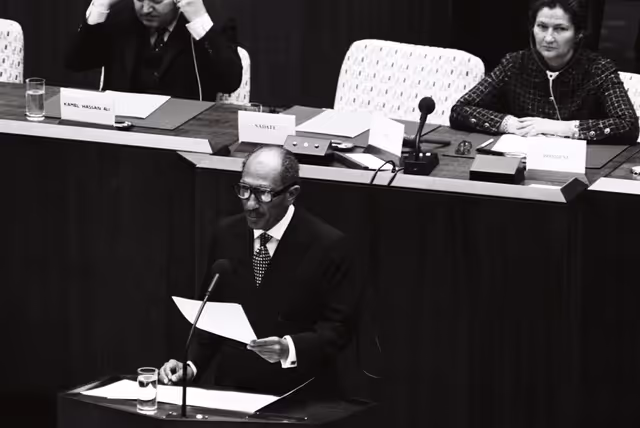 Photo 31: Plenary Session in Luxembourg