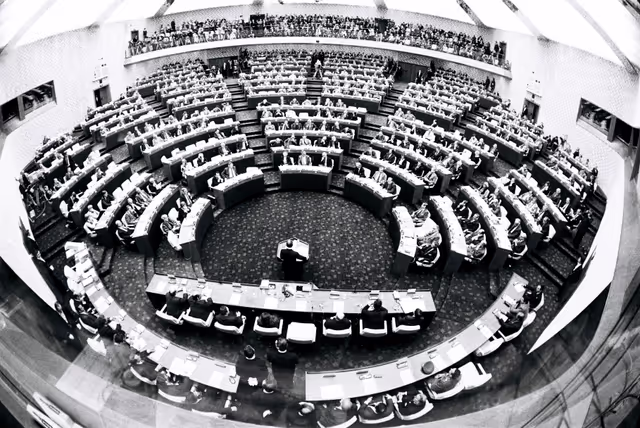 Photo 9: Plenary Session in Luxembourg