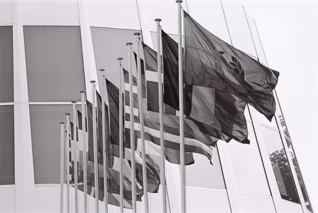 Fotagrafa 13: Flags in front of the European Parliament in Strasbourg