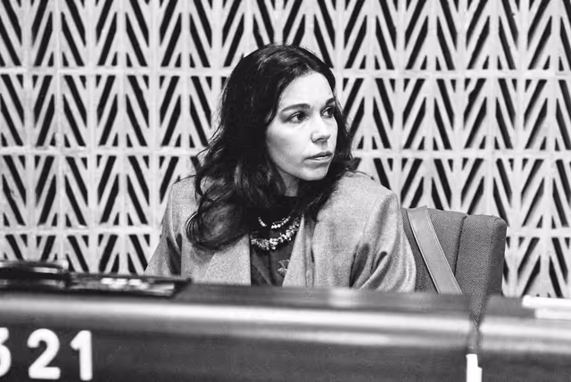 Photo 24: Plenary session at Strasbourg in february 1984