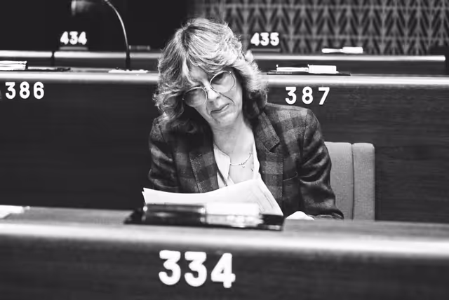 Fotografia 37: MEP Heinke SALISCH during a session in Strasbourg.