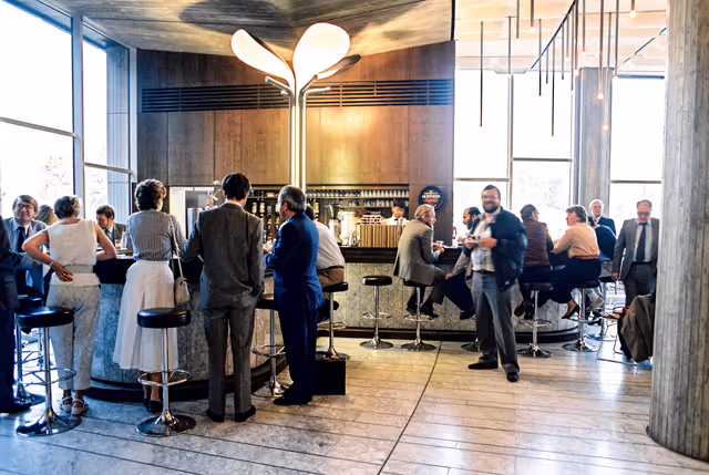 Billede 1: Bar des cygnes - Swan Bar at the EP in Strasbourg.