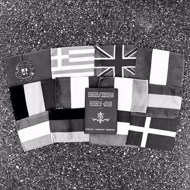 Nuotrauka 9: The Twelves flags of Europe with Belgium passport