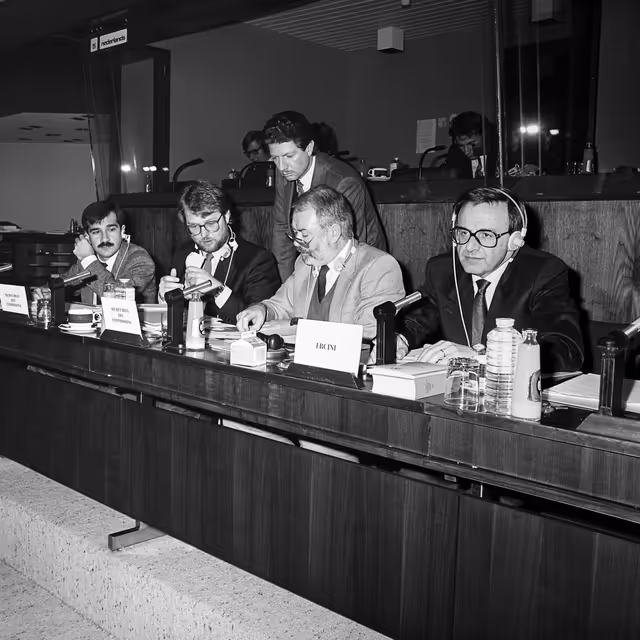 Fotagrafa 2: Committee on Institutional Affairs