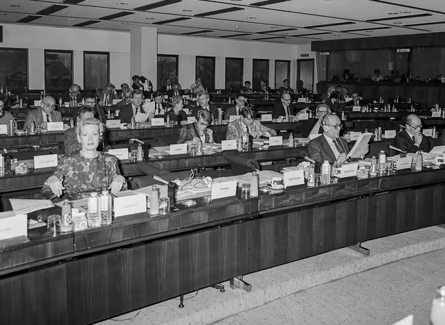 Fotagrafa 3: Committee on Institutional Affairs