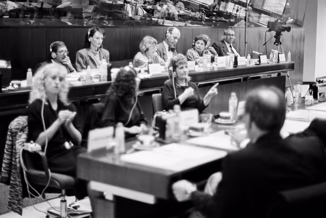 Fotografie 2: Meeting in the European Parliament