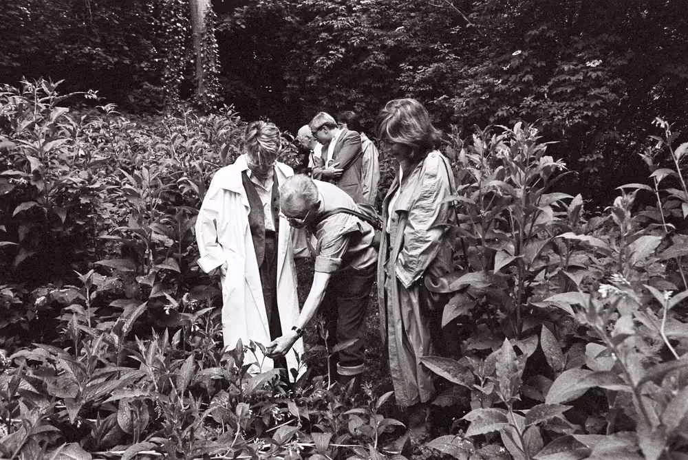 MEPs are discovering forest with nature - guides