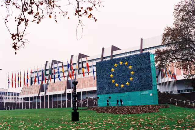 Fotografi 29: Flag of flowers in front of the EP in Strasbourg in 1988.