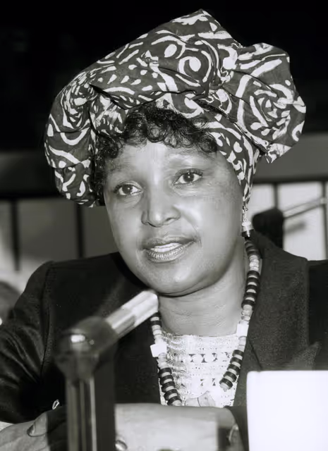 Φωτογραφία 18: EP President meets with the President of South Africa