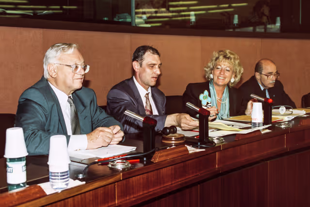 Foto 6: Meeting at the EP in Strasbourg