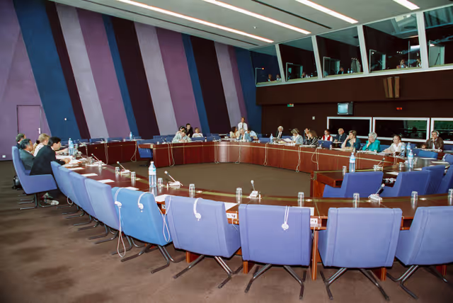 Fotografija 29: Meeting in the European Parliament at Strasbourg