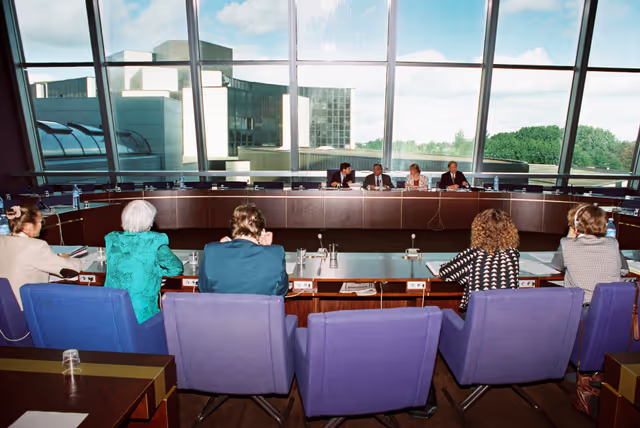 Fotografija 33: Meeting in the European Parliament at Strasbourg