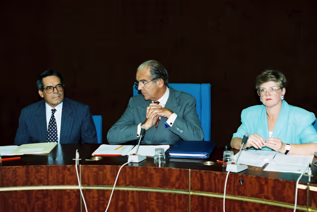 Fotografija 43: Meeting in the European Parliament at Strasbourg