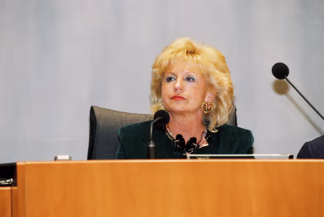 Fotografia 9: Plenary session in Brussels