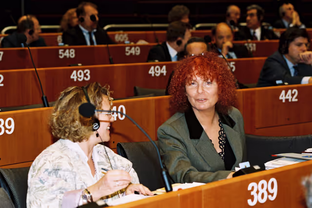 Fotografia 24: Plenary session in Brussels