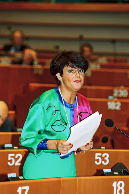 Fotografia 23: Plenary session in Brussels