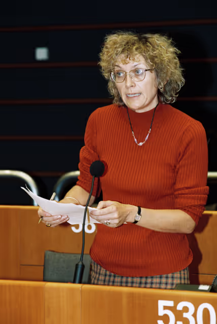 Fotografia 5: Plenary session in Brussels