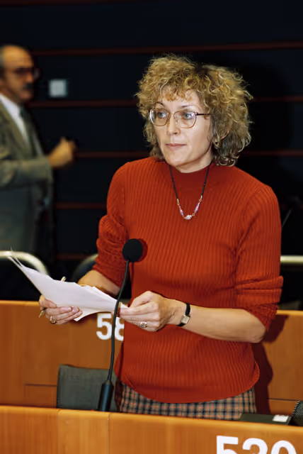 Fotografia 33: Plenary session in Brussels