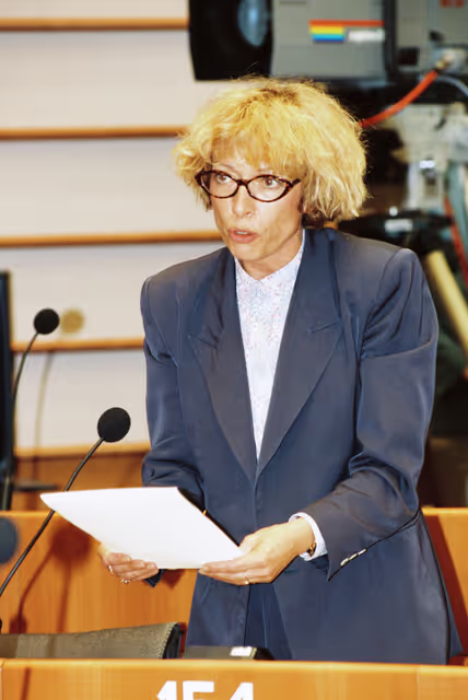 Fotografia 7: Plenary session in Brussels