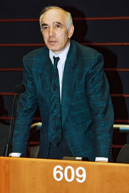 Foto 1: Plenary session in Brussels