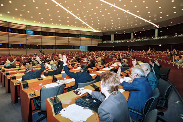 Foto 23: Plenary session in Brussels