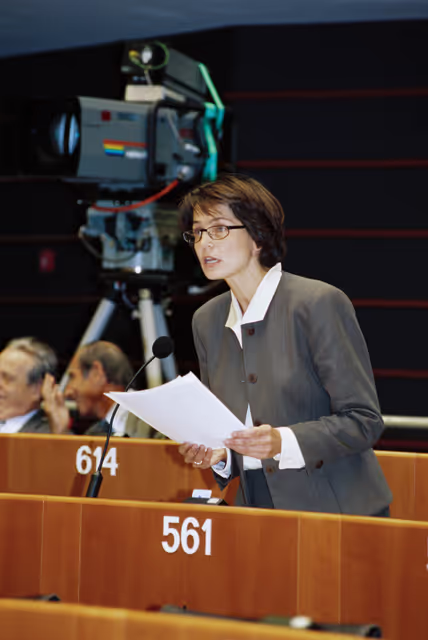 Foto 21: Plenary session in Brussels