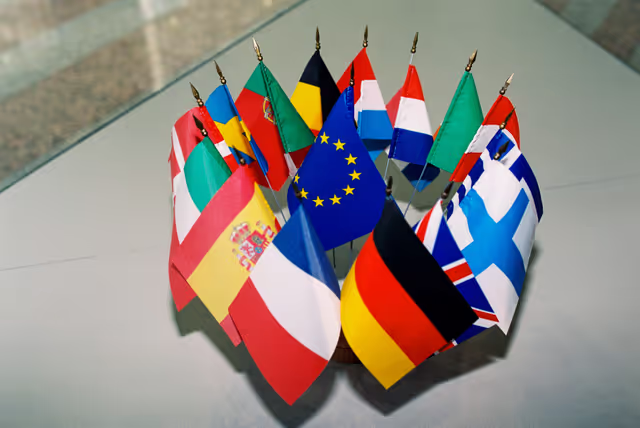 Suriet 1: European flag surrounded by the flags of the member countries