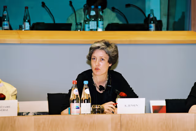 Fotografia 13: Youth conference in Brussels