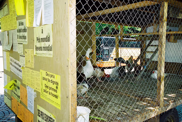 Foto 9: Farmers protest against the CAP 2000