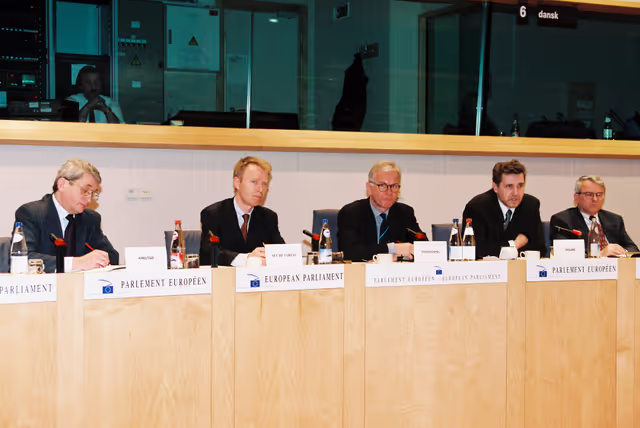 Fotagrafa 11: AFET Committee meeting in Brussels in January 1999