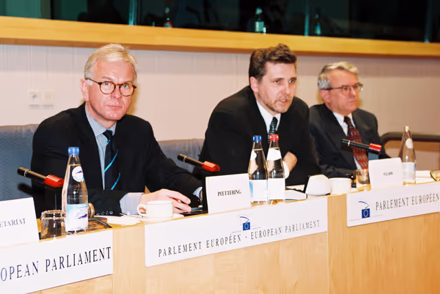 Fotagrafa 10: AFET Committee meeting in Brussels in January 1999