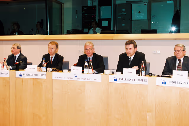 Fotagrafa 13: AFET Committee meeting in Brussels in January 1999