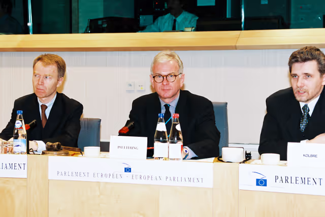 Fotagrafa 14: AFET Committee meeting in Brussels in January 1999