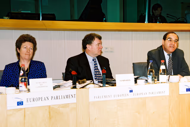 Fotagrafa 7: AFET Committee - Exchange of views with commision vice-presidents : activities in the area of of the common foreign and security policy