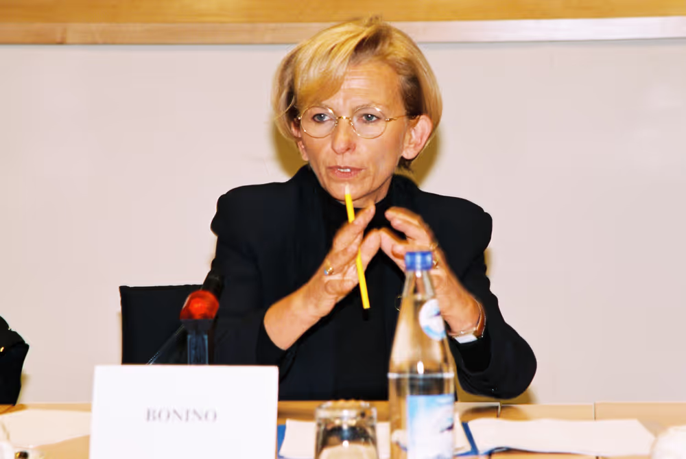 AFET Committee meeting