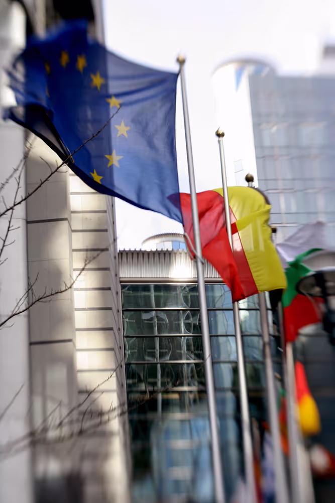 Various flags of country members of the European Union floating in the wind