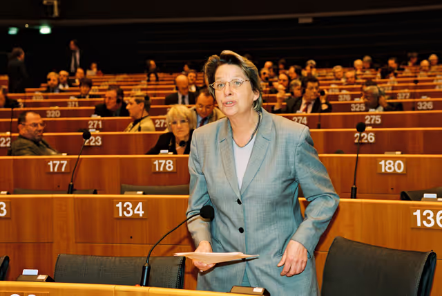 Foto 15: Plenary Session in Brussels - February 2000