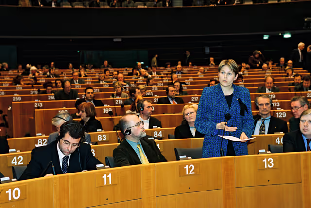 Foto 16: Plenary Session in Brussels - February 2000