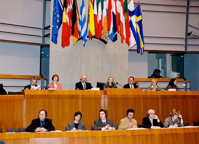Foto 6: Plenary Session in Brussels - February 2000