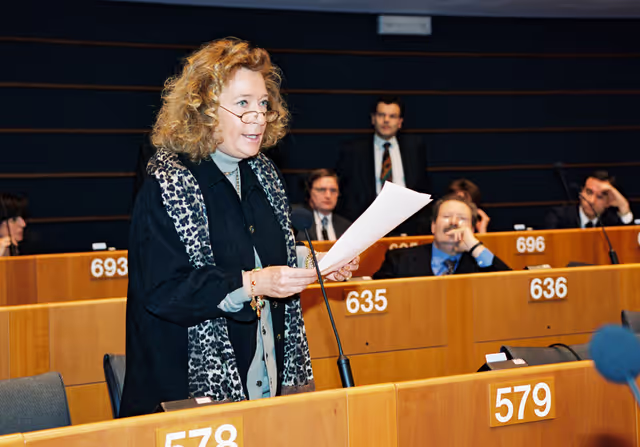 Foto 12: Plenary Session in Brussels - February 2000