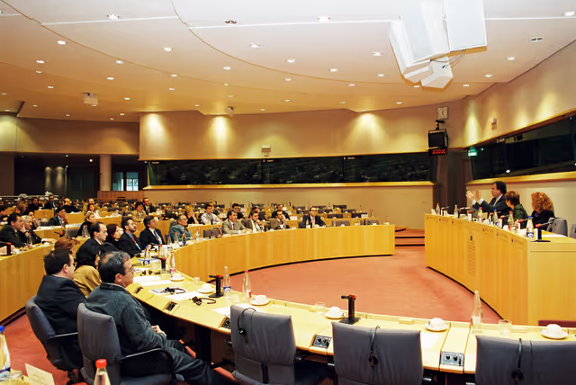 Nuotrauka 7: Meeting in Brussels
