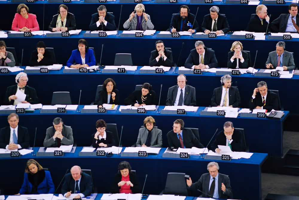 Illustration inside the hemicycle in Strasbourg