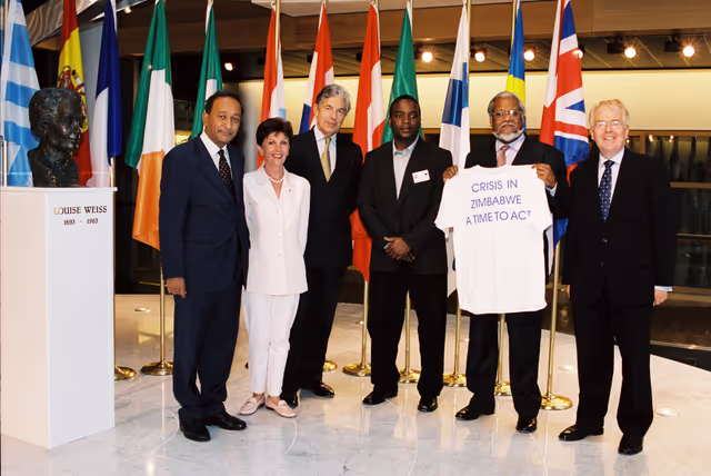 Fotó 2: MEPs demonstration on the crisis in Zimbabwe