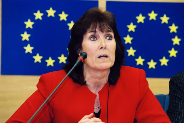 Снимка 5: Press conference by British MEPs with guests