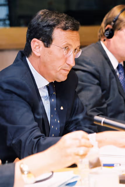 Fotagrafa 3: Meeting of the Alliance for a Europe of Nations